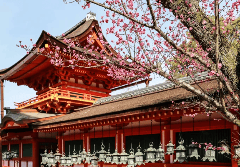 奈良赏樱｜2. 春日大社